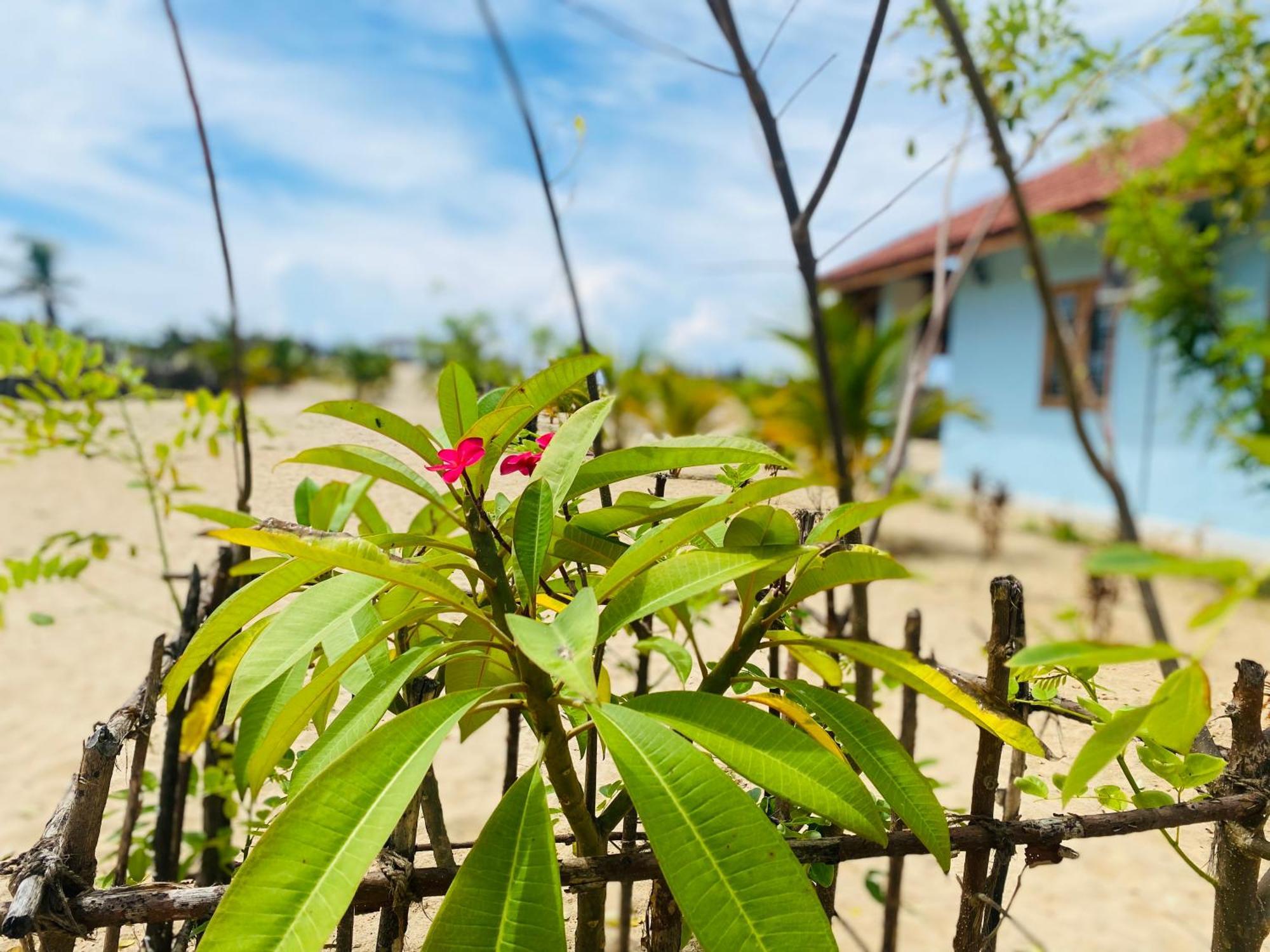 Oceano Beach Villa Arugam Bay Exterior foto